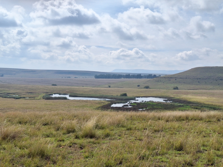 11 Bedroom Property for Sale in Vrede Free State